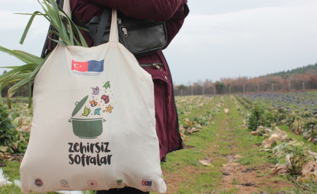 Çiftçi uyarıyor: 'Otu, böceği öldüren; insanı da öldürüyor.'