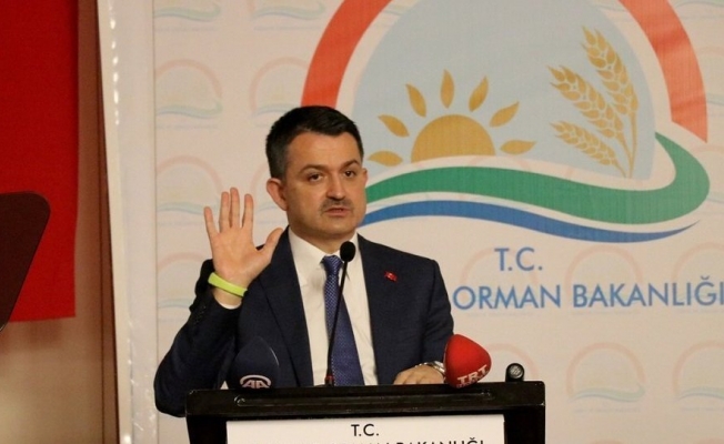 Destek ödemesi müjdesi