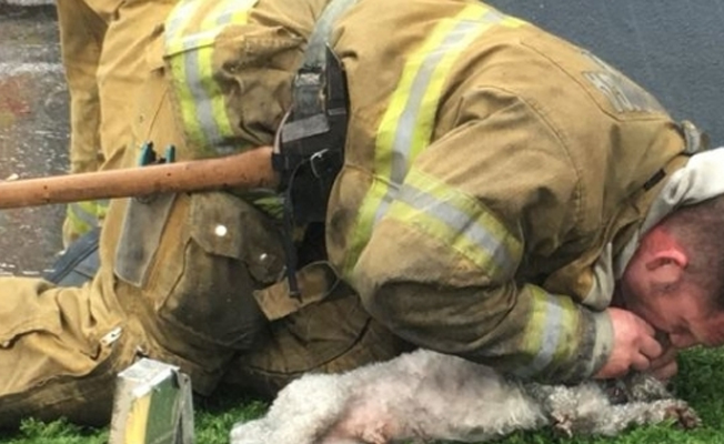 İtfaiye görevlisi, suni teneffüsle köpeği hayata döndürdü