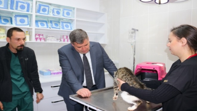Çeşme'de can dostlara özel klinik