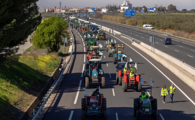 İspanya'da tarım işçileri eylemde