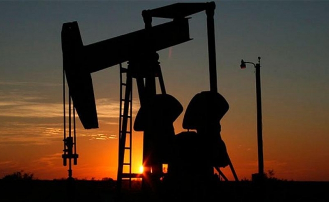 'Petrol varil fiyatı 5 dolara inebilir'