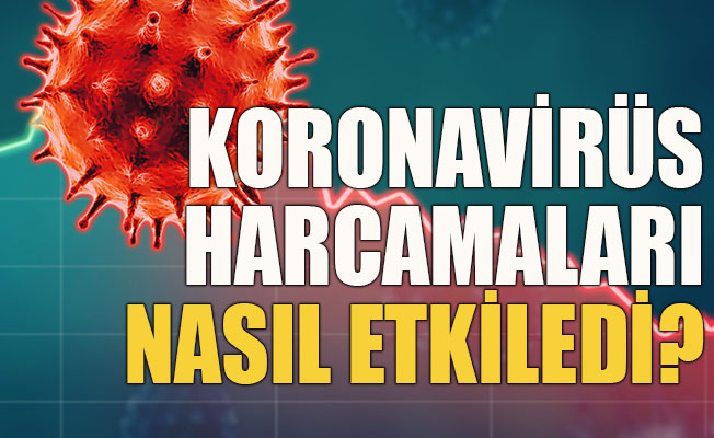 Koronavirüs harcamaları nasıl etkiledi?
