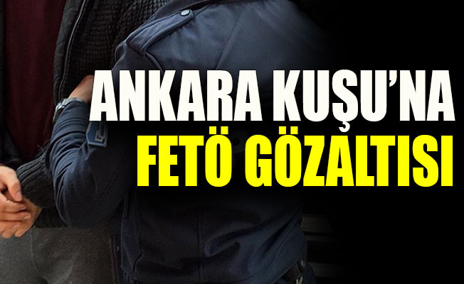 Ankara Kuşu'na FETÖ gözaltısı