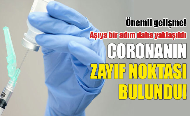 Koronavirüsün zayıf noktası bulundu!