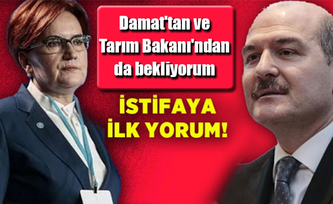 Akşener: Damat'tan ve Tarım Bakanı'ndan da bekliyorum
