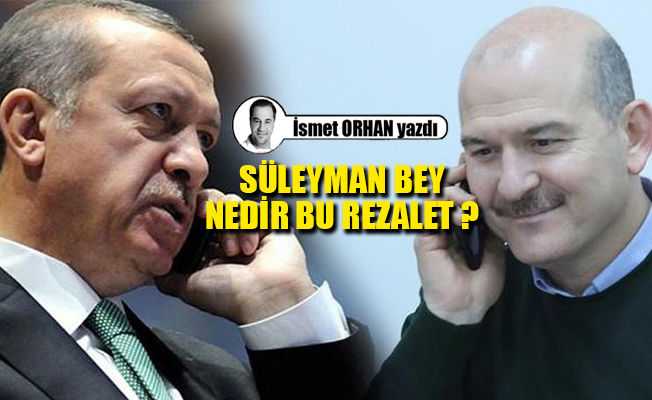 Soylu'nun istifa kararından önce Erdoğan'la yaptığı görüşmede geçen diyalog