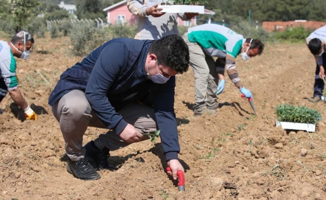 Başkan Kılıç'tan 16 dönümlük 'destek' bostanı