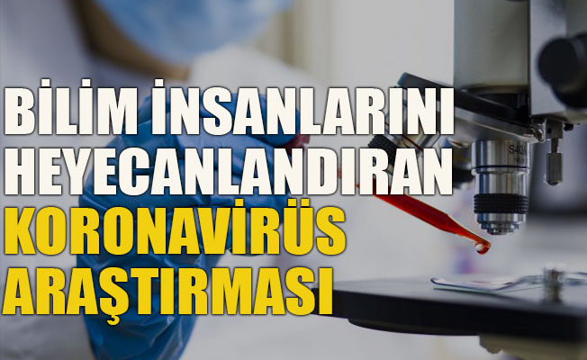Bilim insanlarını heyecanlandıran koronavirüs araştırması