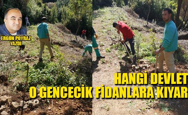 Koraona ile mücadeleyi bırakan devlet, fidanlara saldırıyor