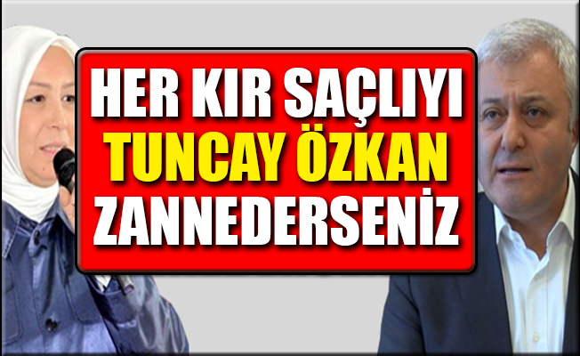 CHP'li Özkan: AKP'nin son kullanma tarihinin geçtiğinin kanıtı sizsiniz