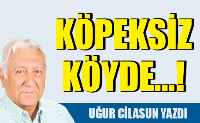 Köpeksiz Köyde...!
