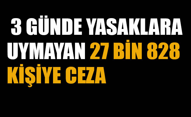 Sokağa çıkma yasağına uymayanlara ceza kesildi