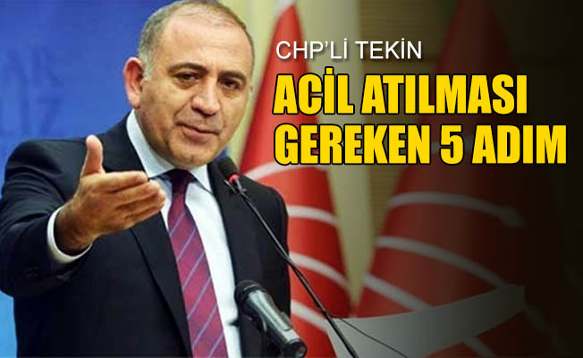 CHP'li Tekin: Türkiye’de atılan adımlar bütünüyle yetersiz