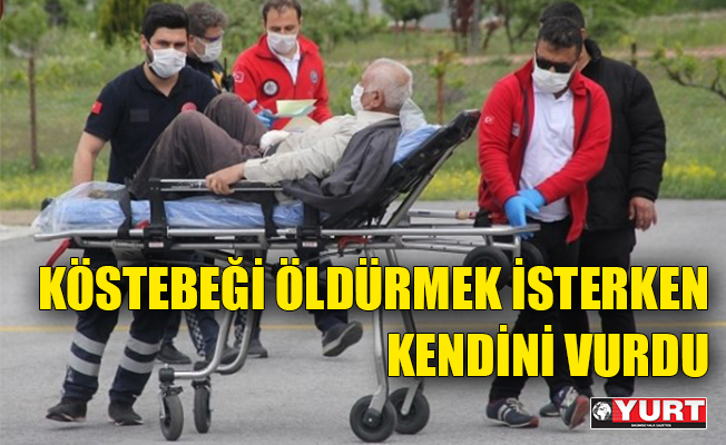 Köstebeği öldürmek isterken kendini vurdu