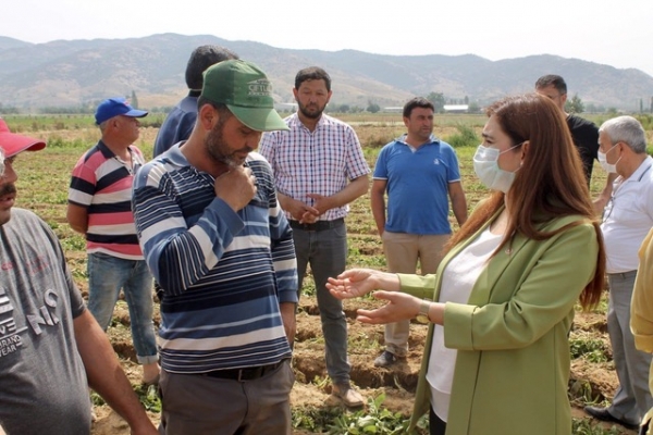 Sevda Erdan Kılıç: Çiftçiye ‘yazık’ deseler ‘ağlayacak’ durumda