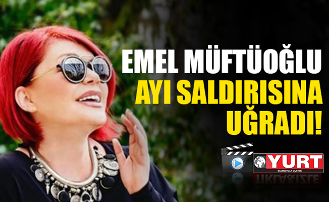 Şarkıcı Müftüoğlu, ayı saldırısına uğradı!