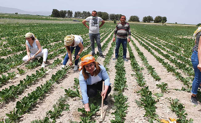 Çiftçi 130 milyarlık borç batağında