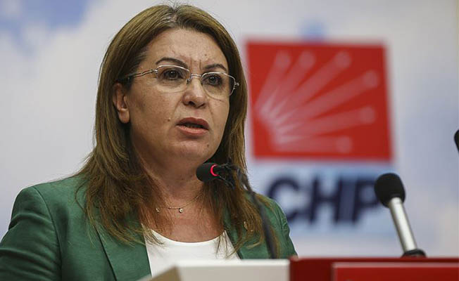 CHP'li Karaca: Hayvanlar mal değil candır