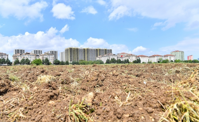Üreten Beylikdüzü için bir adım daha