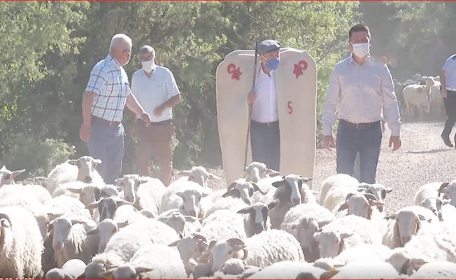 Tunç Soyer kepenk giydi, hayvan güddü