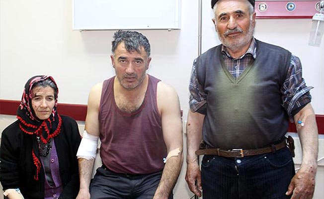 Köye inen aç kurt dehşeti: 4 yaralı