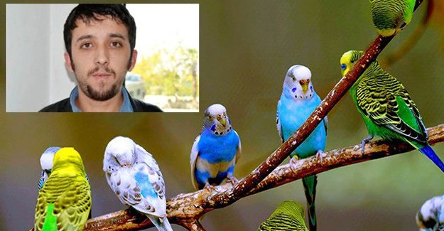 Muhabbet kuşunu yaralayan ağabeyini bıçakladı: 3 yıl 9 ay hapis