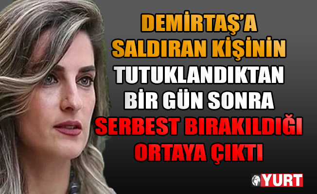 Başak Demirtaş'a saldıran kişi tutuklandıktan bir gün sonra serbest bırakılmış