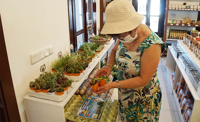 Bodrum TARKO satışa başladı