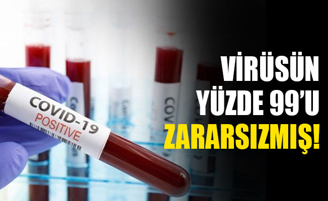 Virüsün yüzde 99’u zararsızmış!