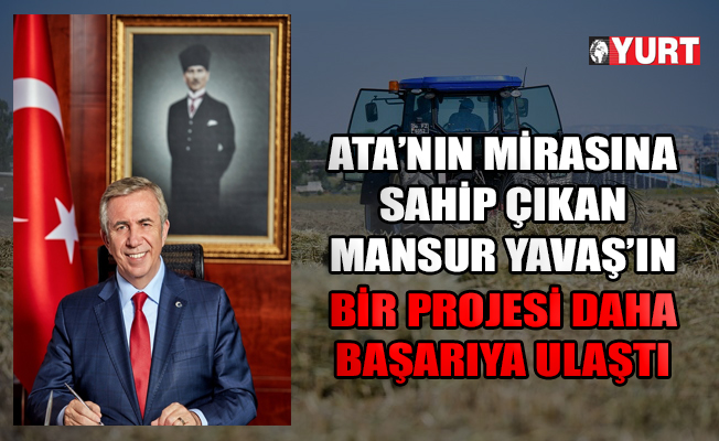 Atatürk Orman Çiftliği'nde yıllar sonra ilk hasat