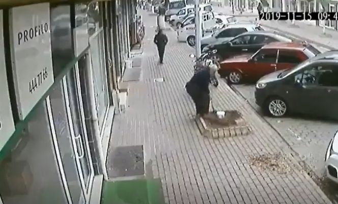 Yürürken birden durup ağacı söktü!