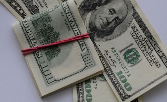 Reuters: Liranın desteklenmesi için piyasaya 100 milyar dolar sürüldü