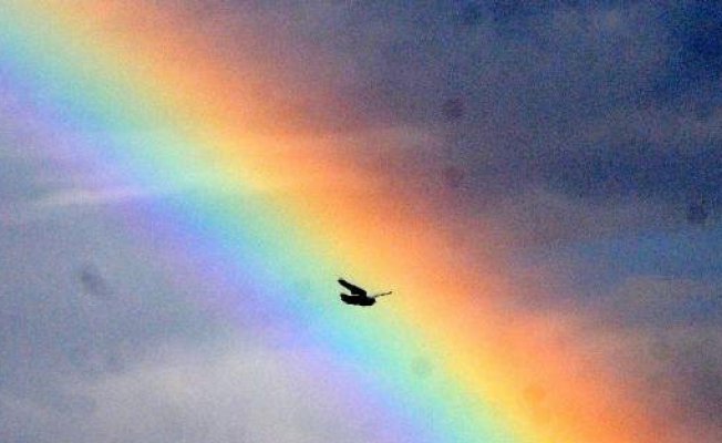 AKP'li Dağ alay konusu oldu: Şu an LGBT'li oldun