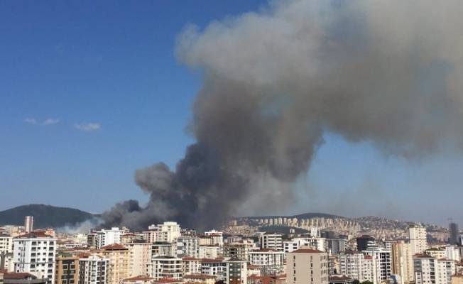 Maltepe'de askeri alanda büyük yangın