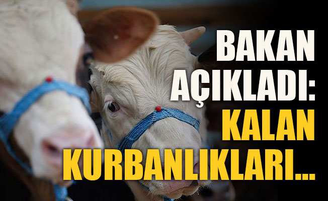 Bakan Pakdemirli açıkladı: Kalan kurbanlıkları…
