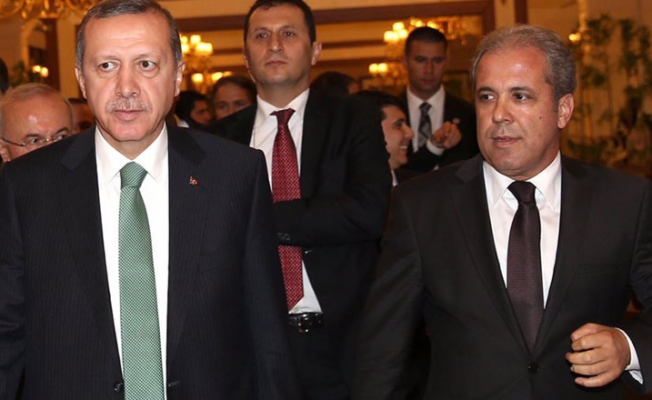Şamil Tayyar'dan Erdoğan'ı kızdıracak çıkış