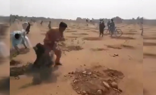 İslâm'a aykırı diye ağaçları kökünden söktüler!