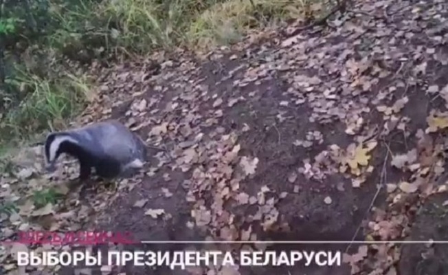 Belarus'ta Gezi Parkı vakası: Porsuk videosu yayınladılar