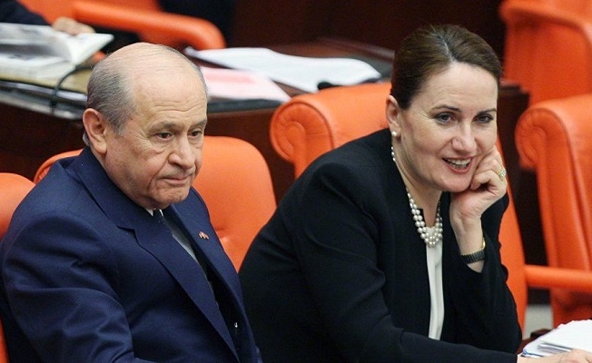 Selvi: Bahçeli'nin Akşener'e attığı çiçeğe Erdoğan'ın desteği...