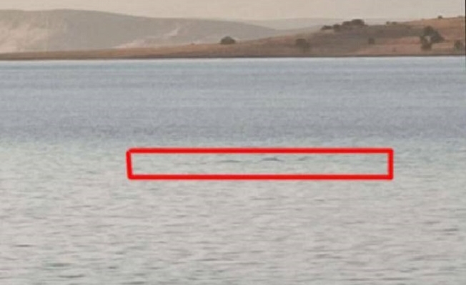 Van Gölü Canavarı geri döndü!