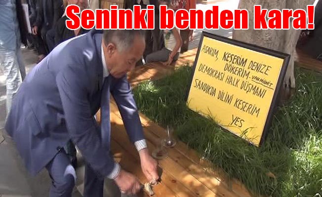 CHP'li vekili 'dil keserek' protesto etti