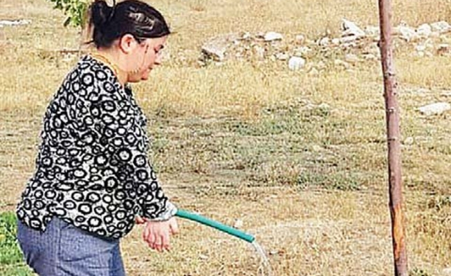 AKP'li belediye yüzde 52 engelli çalışanı bahçe temizliğine verdi!