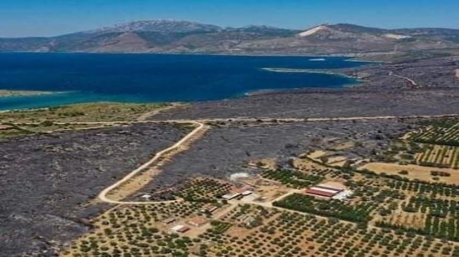 'Çeşme yangınında imar iddiası' Meclis'e taşındı!
