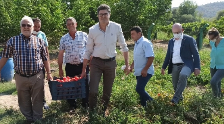 CHP'li Aytekin üreticinin sesi oldu
