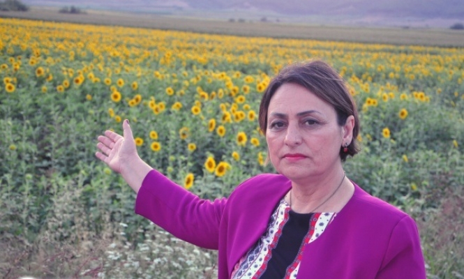 CHP'li Vekil Şevkin: 280 bin çiftçiye ne oldu?