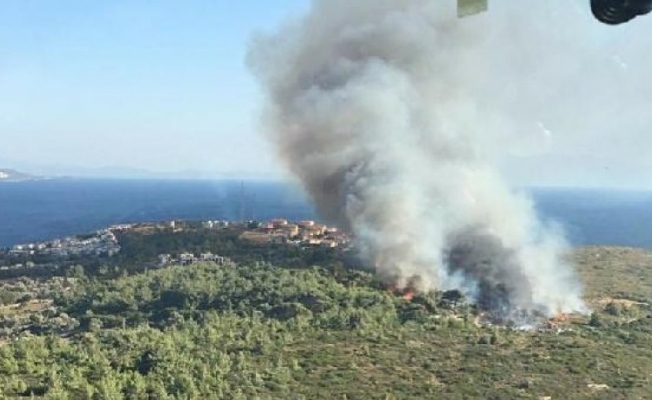 İzmir Seferihisar'da orman yangını