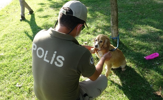 Soylu talimat vermişti: Göreve başladılar!