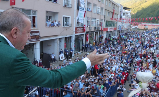 30 Ağustos'ta yasak Giresun'da serbest: Çay kapma yarışına girdiler!