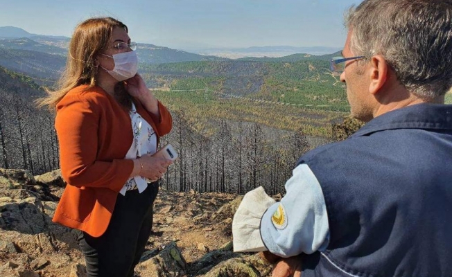 CHP'li Karaca Denizli'deki orman yangınında hasar gören bölgede inceleme yaptı